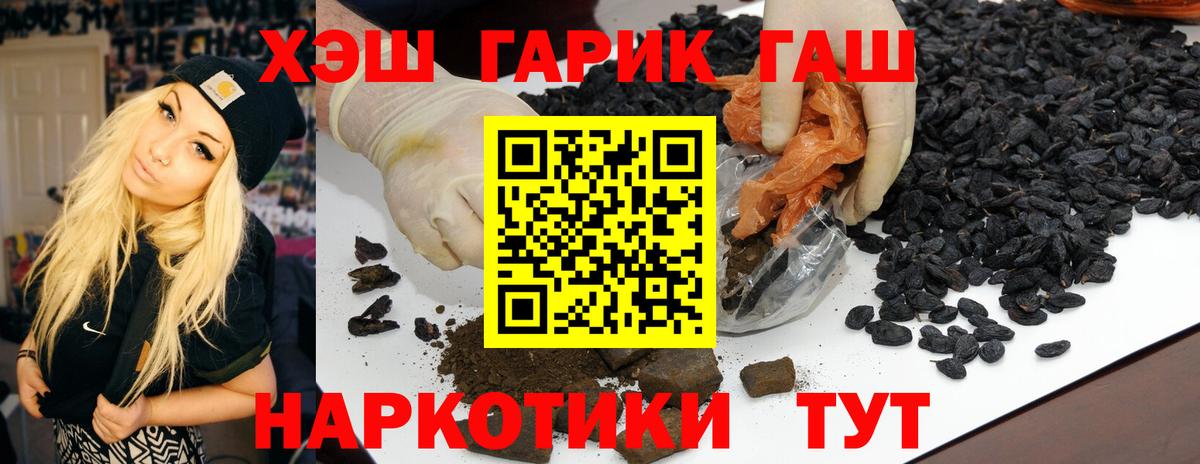 Камышин  ГАШ  Вход с VPN  ГАШ VHQ  ГАШ ice o lator 