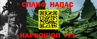 прущие грибы Кулебаки