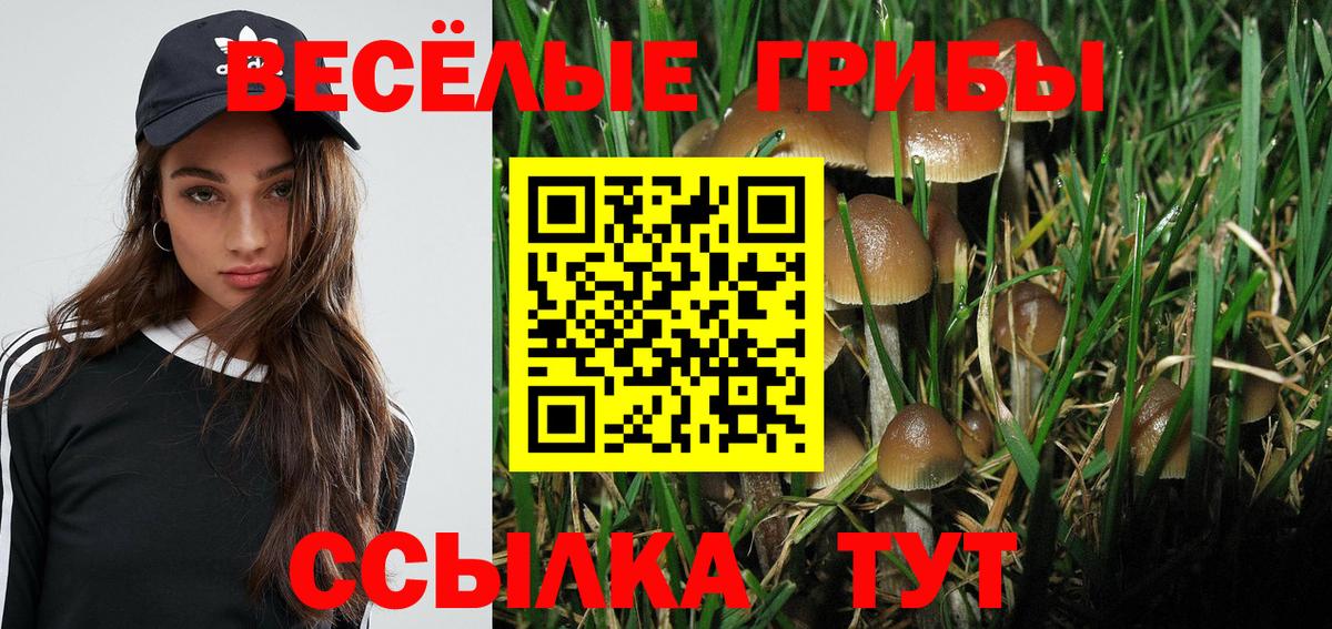 Галлюциногенные грибы GOLDEN TEACHER Камышин