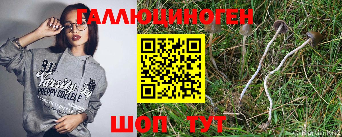 Камышин  Псилоцибиновые грибы ЛСД  Галлюциногенные грибы мицелий  Вход с VPN 