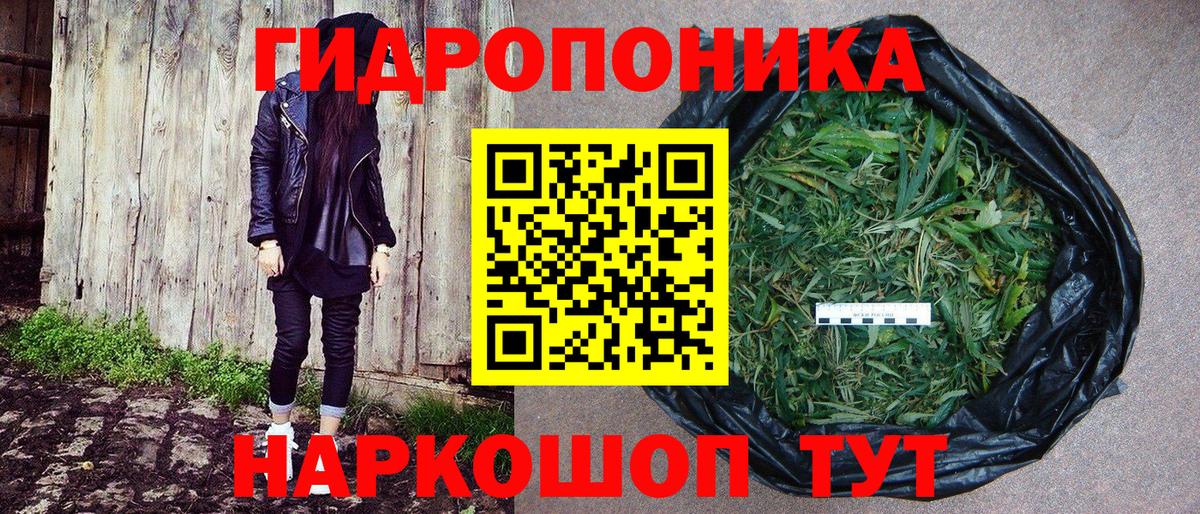Камышин  Бошки марихуана сатива  Шишки марихуана Amnesia  Канабис Ganja  Шишки марихуана VHQ  Вход с VPN 